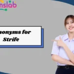 Synonyms for Strife
