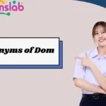Synonyms of Dom