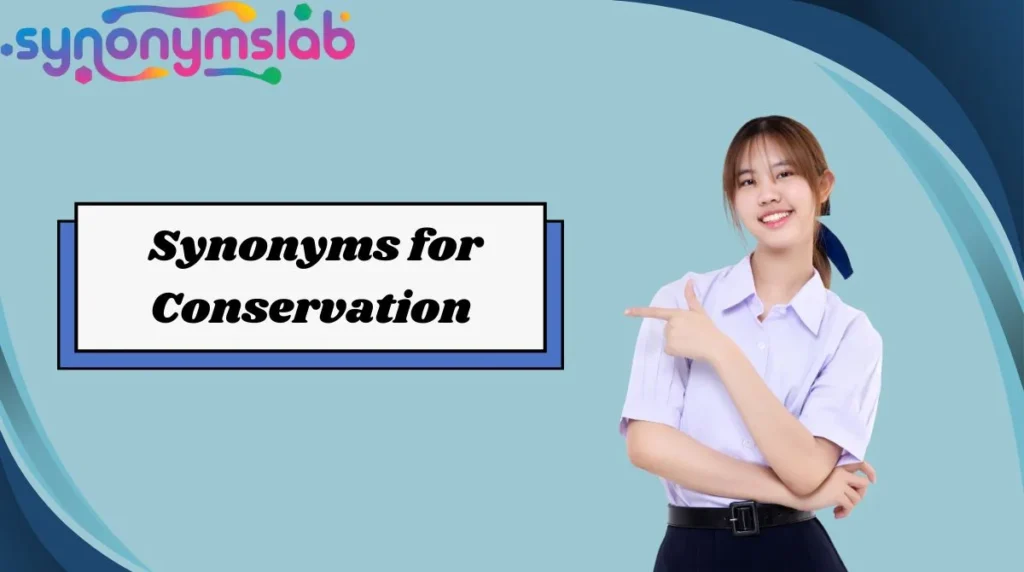Synonyms for Conservation