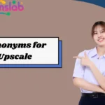 Synonyms for Upscale